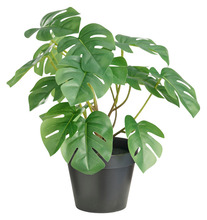 Kunstig monstera plante i potte H32 cm innendørs - Day